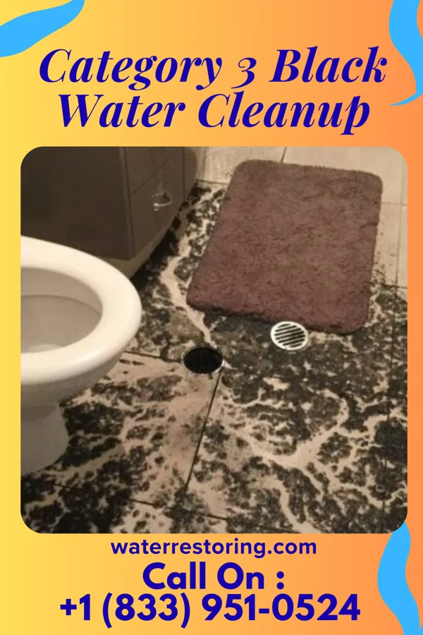 Category 3 Black Water Cleanup in Adams, MN