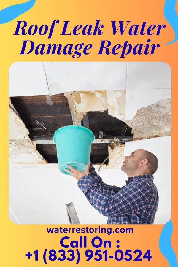 Roof Leak Water Damage Repair in Adams, MN
